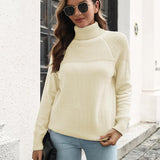 Turtleneck Raglan Sleeve Sweater - Crazy Like a Daisy Boutique #