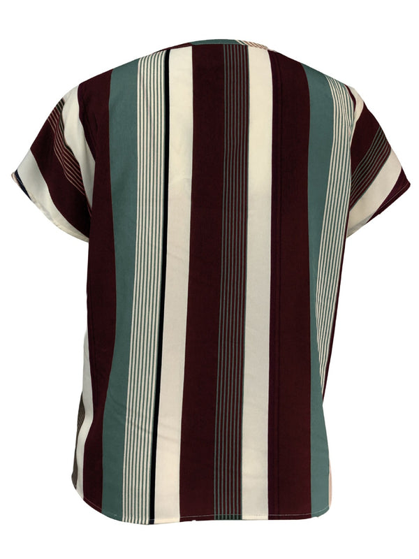 Striped Notched Short Sleeve Blouse - Crazy Like a Daisy Boutique #